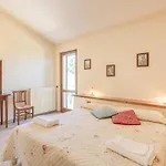 Pet Friendly Apartament