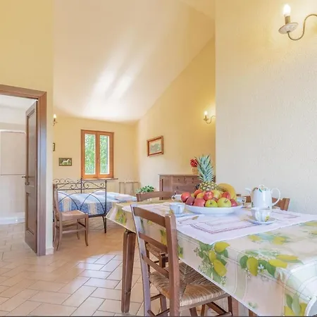 Pet Friendly Apartment