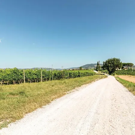 Pet Friendly Apartamento *